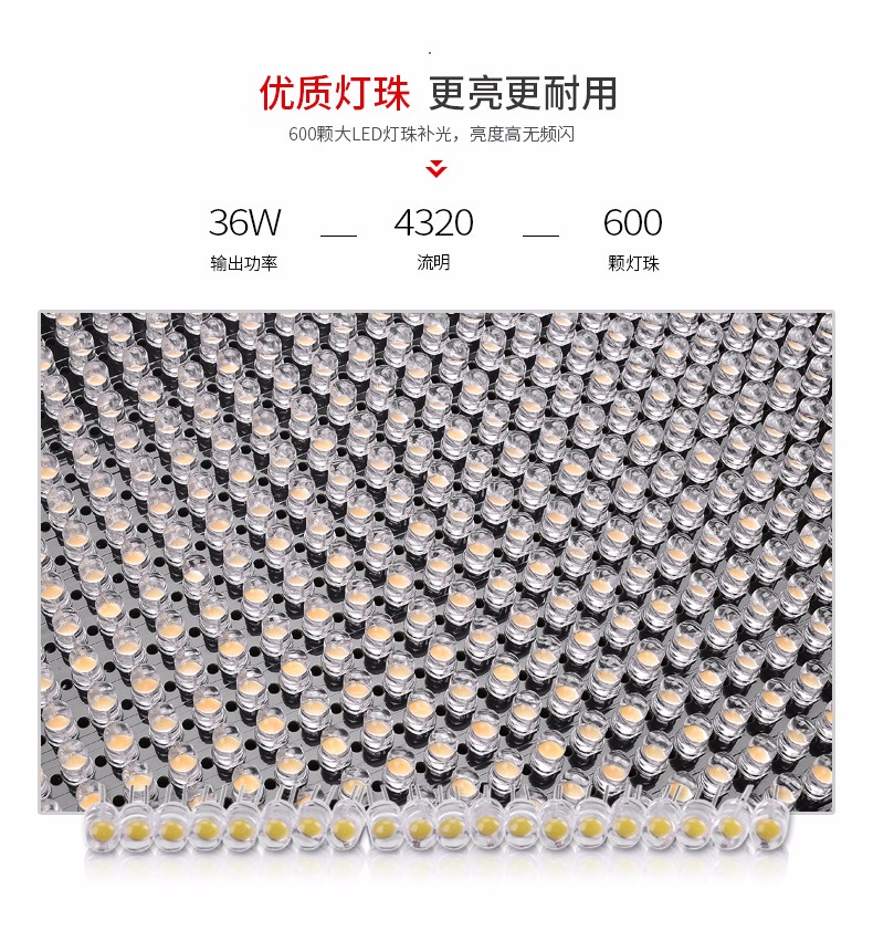 圖立方,LED攝影燈,LED攝像燈,專業(yè)攝影器材廠家,圖立方攝影燈,補光燈,影視器材,攝影燈,環(huán)形燈,直播燈,攝影器材,攝影燈廠家,影視器材廠家,攝影器材廠家