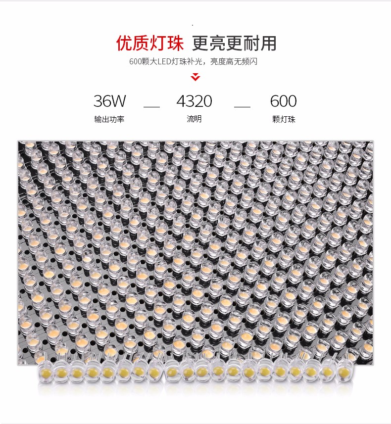 圖立方,LED攝影燈,LED攝像燈,專業(yè)攝影器材廠家,圖立方攝影燈,補(bǔ)光燈,影視器材,攝影燈,環(huán)形燈,直播燈,攝影器材,攝影燈廠家,影視器材廠家,攝影器材廠家