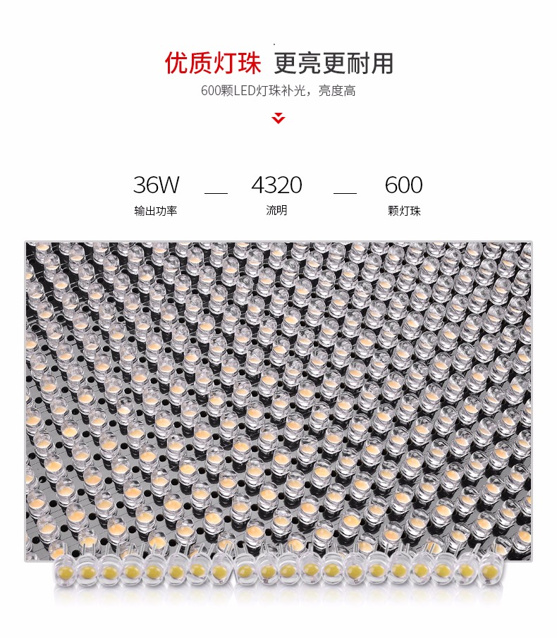 圖立方,LED攝影燈,LED攝像燈,專業(yè)攝影器材廠家,圖立方攝影燈,補(bǔ)光燈,影視器材,攝影燈,環(huán)形燈,直播燈,攝影器材,攝影燈廠家,影視器材廠家,攝影器材廠家