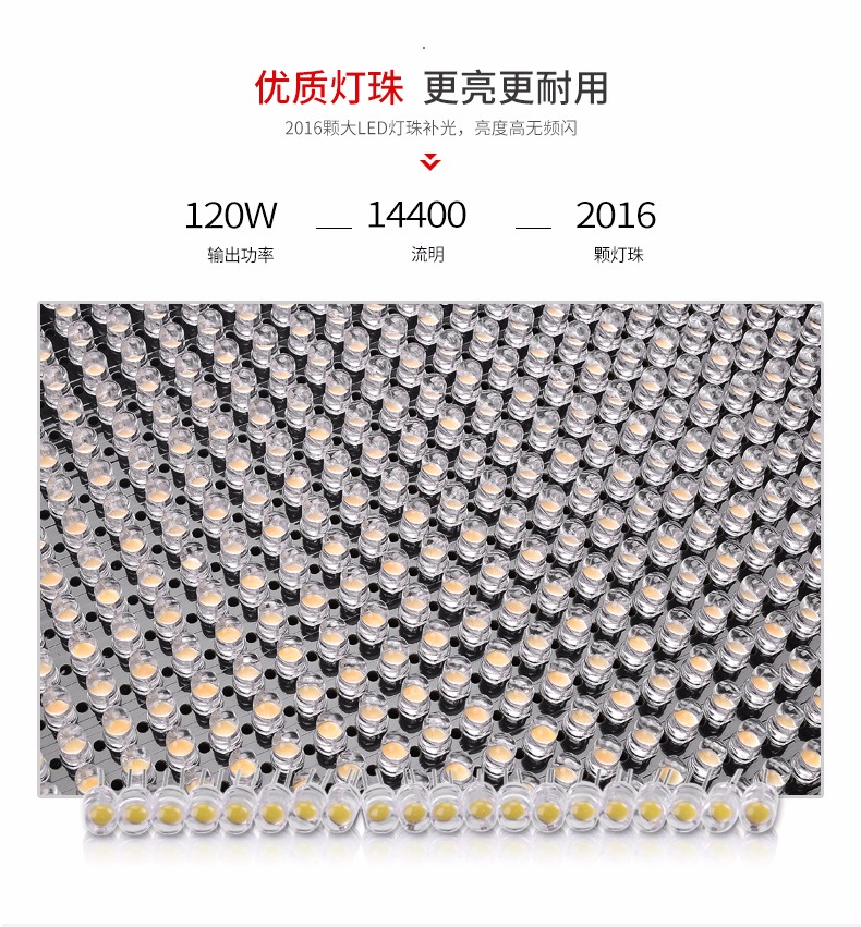 圖立方,LED攝影燈,LED攝像燈,專業(yè)攝影器材廠家,圖立方攝影燈,補(bǔ)光燈,影視器材,攝影燈,環(huán)形燈,直播燈,攝影器材,攝影燈廠家,影視器材廠家,攝影器材廠家
