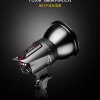 Tolifo圖立方龍卷風(fēng)T-250B數(shù)碼閃光燈